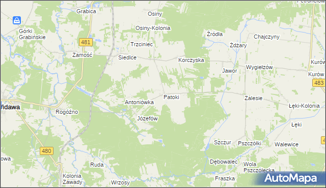 mapa Patoki gmina Widawa, Patoki gmina Widawa na mapie Targeo