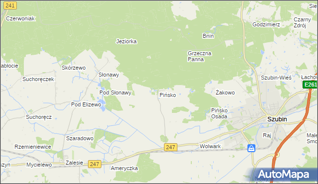 mapa Pińsko, Pińsko na mapie Targeo