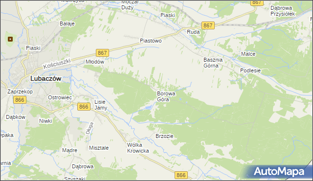 mapa Borowa Góra gmina Lubaczów, Borowa Góra gmina Lubaczów na mapie Targeo