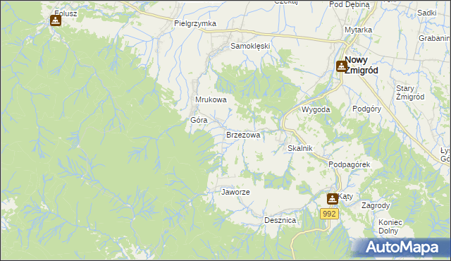 mapa Brzezowa gmina Nowy Żmigród, Brzezowa gmina Nowy Żmigród na mapie Targeo