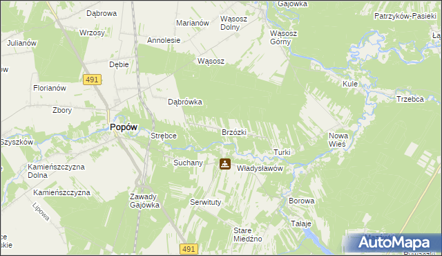 mapa Brzózki gmina Popów, Brzózki gmina Popów na mapie Targeo