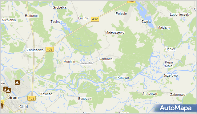 mapa Dąbrowa gmina Śrem, Dąbrowa gmina Śrem na mapie Targeo