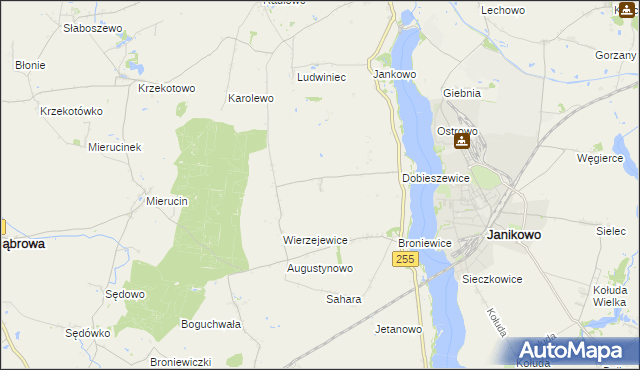 mapa Dobieszewiczki, Dobieszewiczki na mapie Targeo