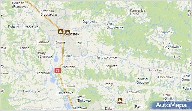 mapa Januszkowice gmina Brzostek, Januszkowice gmina Brzostek na mapie Targeo