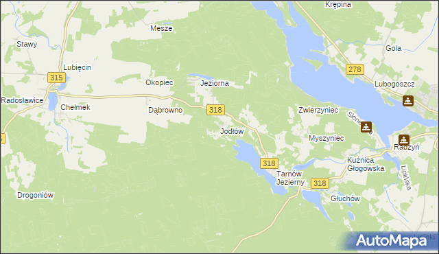 mapa Jodłów gmina Nowa Sól, Jodłów gmina Nowa Sól na mapie Targeo
