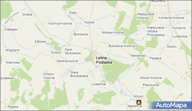 mapa Leśna Podlaska, Leśna Podlaska na mapie Targeo