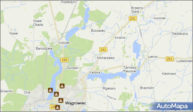 mapa Micharzewo, Micharzewo na mapie Targeo