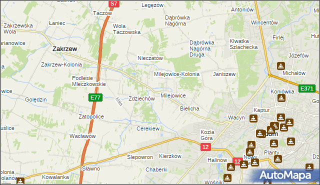 mapa Milejowice gmina Zakrzew, Milejowice gmina Zakrzew na mapie Targeo