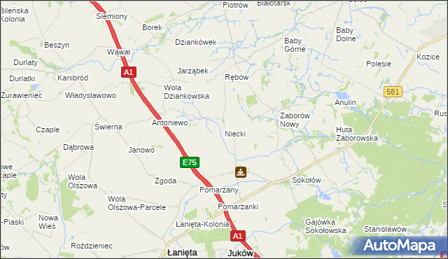mapa Niecki gmina Gostynin, Niecki gmina Gostynin na mapie Targeo