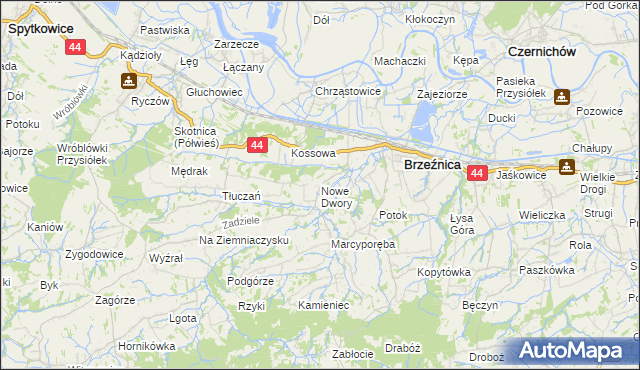 mapa Nowe Dwory gmina Brzeźnica, Nowe Dwory gmina Brzeźnica na mapie Targeo