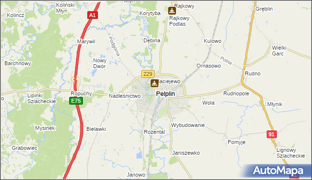 mapa Pelplin, Pelplin na mapie Targeo