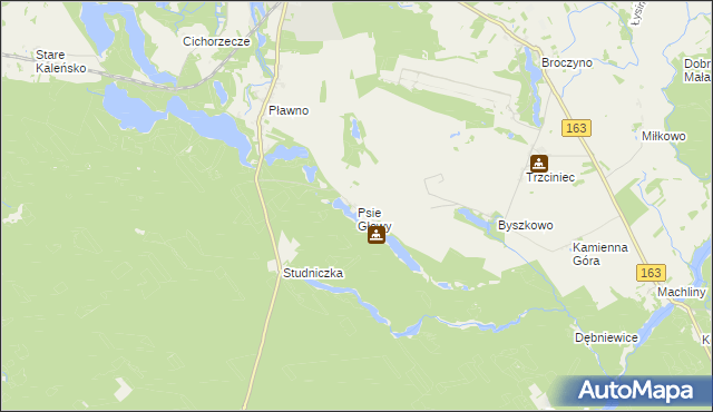 mapa Psie Głowy, Psie Głowy na mapie Targeo