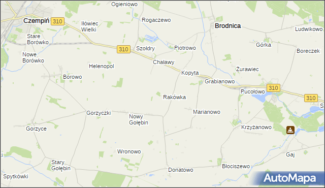 mapa Rakówka gmina Czempiń, Rakówka gmina Czempiń na mapie Targeo