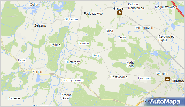 mapa Rogi gmina Niemodlin, Rogi gmina Niemodlin na mapie Targeo