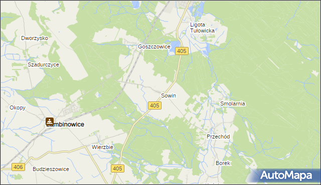 mapa Sowin gmina Łambinowice, Sowin gmina Łambinowice na mapie Targeo