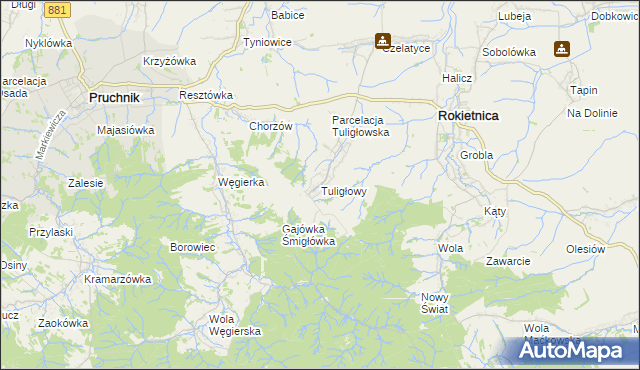mapa Tuligłowy gmina Rokietnica, Tuligłowy gmina Rokietnica na mapie Targeo