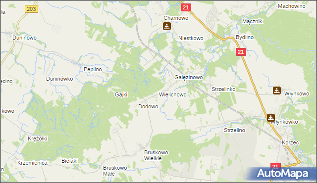 mapa Wielichowo gmina Słupsk, Wielichowo gmina Słupsk na mapie Targeo