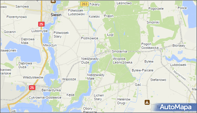 mapa Wygoda gmina Ślesin, Wygoda gmina Ślesin na mapie Targeo
