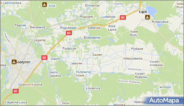 mapa Zwoleń gmina Gostynin, Zwoleń gmina Gostynin na mapie Targeo