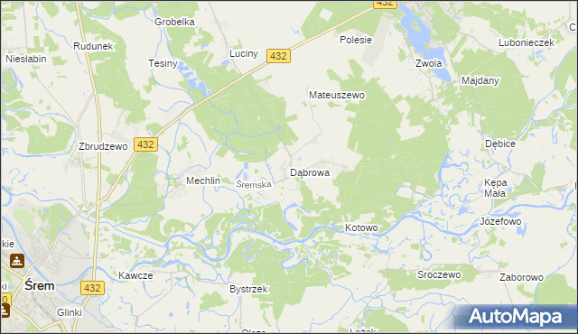 mapa Dąbrowa gmina Śrem, Dąbrowa gmina Śrem na mapie Targeo