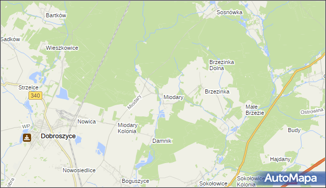 mapa Miodary gmina Dobroszyce, Miodary gmina Dobroszyce na mapie Targeo