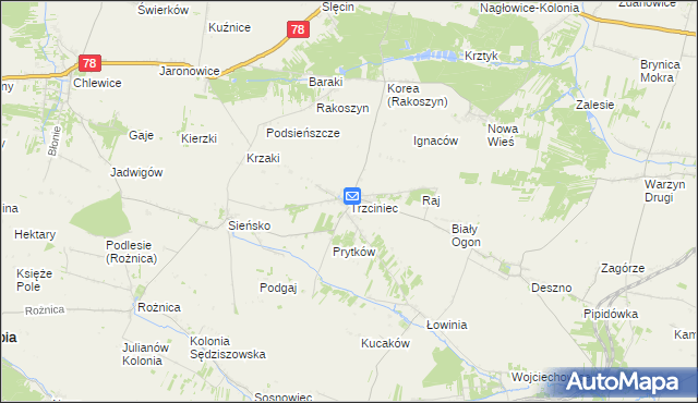 mapa Trzciniec gmina Nagłowice, Trzciniec gmina Nagłowice na mapie Targeo