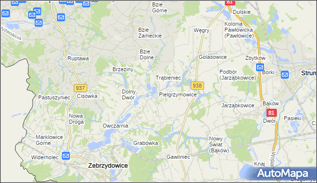 mapa Pielgrzymowice gmina Pawłowice, Pielgrzymowice gmina Pawłowice na mapie Targeo