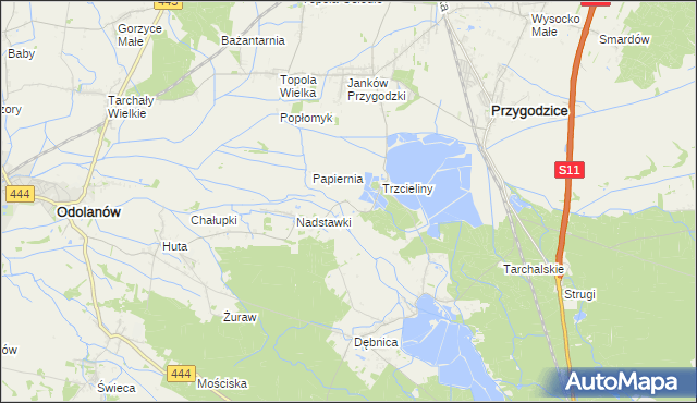 mapa Trzcieliny gmina Odolanów, Trzcieliny gmina Odolanów na mapie Targeo