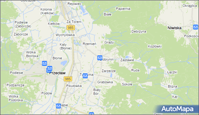 mapa Dobrynin, Dobrynin na mapie Targeo