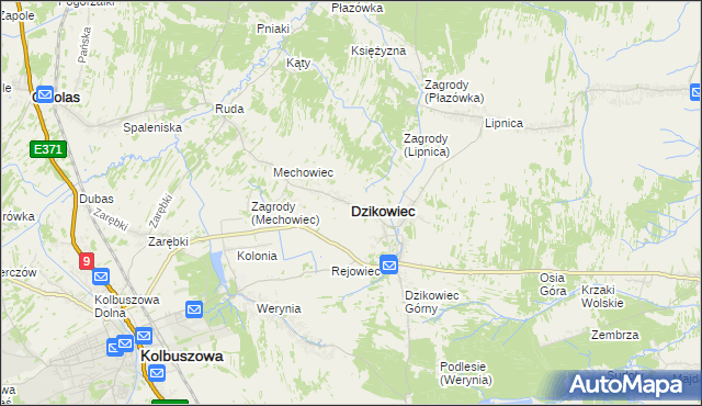 mapa Dzikowiec powiat kolbuszowski, Dzikowiec powiat kolbuszowski na mapie Targeo