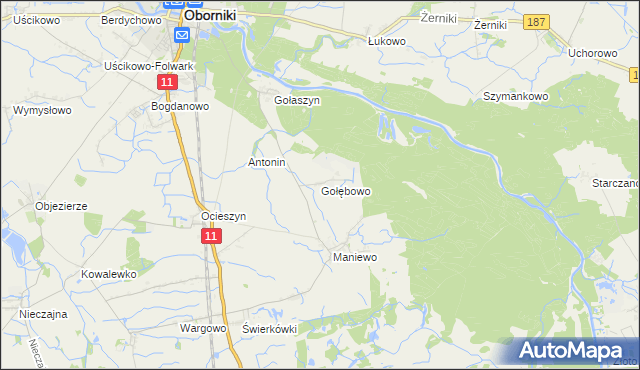 mapa Gołębowo, Gołębowo na mapie Targeo