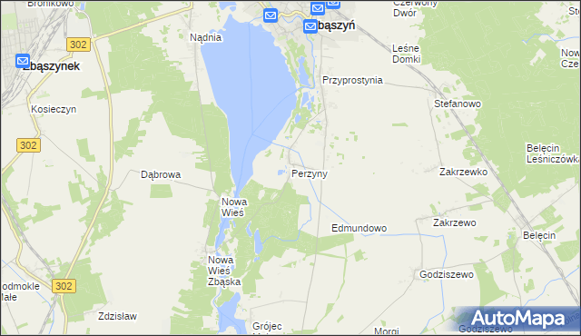 mapa Perzyny gmina Zbąszyń, Perzyny gmina Zbąszyń na mapie Targeo