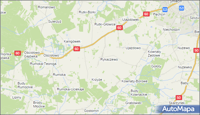 mapa Rykaczewo gmina Ciechanów, Rykaczewo gmina Ciechanów na mapie Targeo