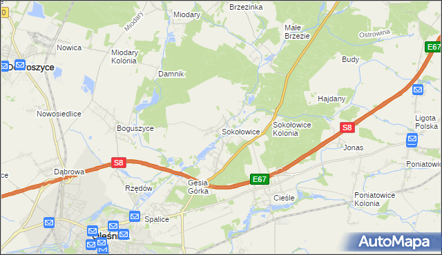 mapa Sokołowice gmina Oleśnica, Sokołowice gmina Oleśnica na mapie Targeo