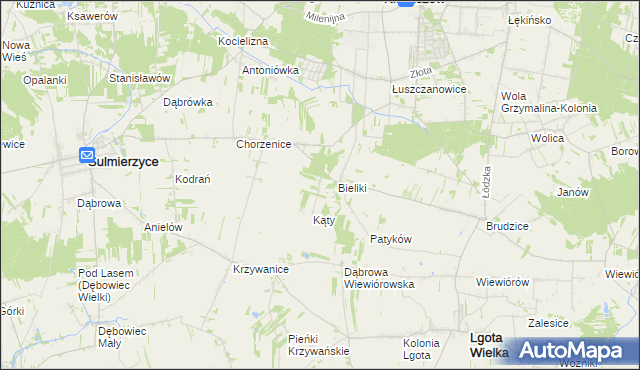 mapa Trzciniec gmina Sulmierzyce, Trzciniec gmina Sulmierzyce na mapie Targeo