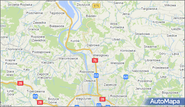 mapa Wielogłowy gmina Chełmiec, Wielogłowy gmina Chełmiec na mapie Targeo