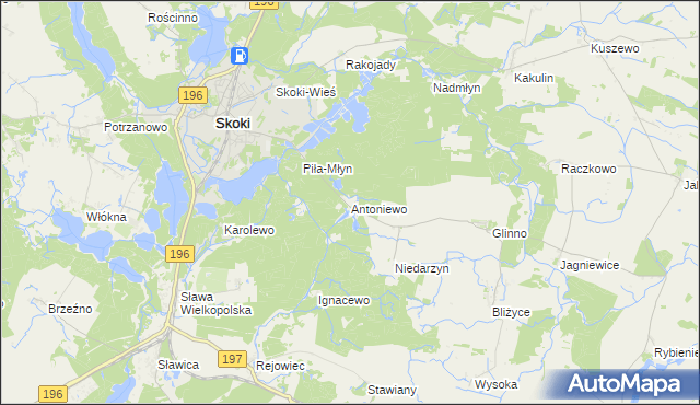 mapa Antoniewo gmina Skoki, Antoniewo gmina Skoki na mapie Targeo