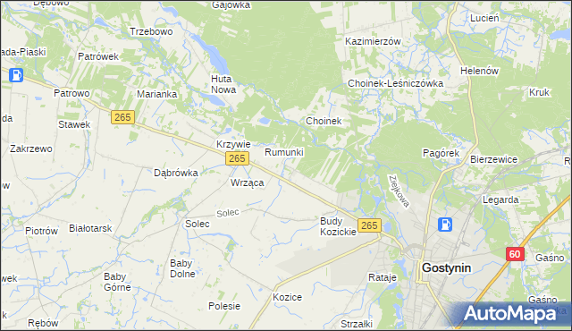 mapa Nagodów gmina Gostynin, Nagodów gmina Gostynin na mapie Targeo