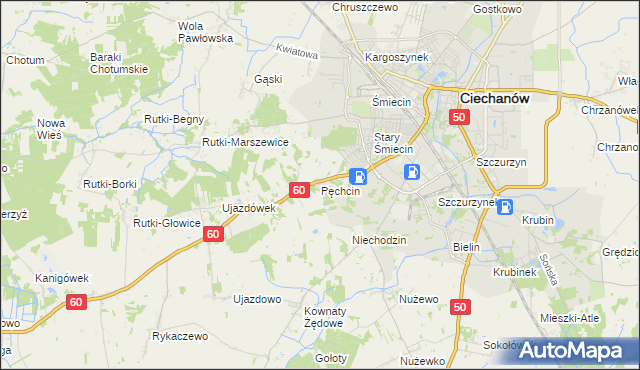 mapa Pęchcin, Pęchcin na mapie Targeo