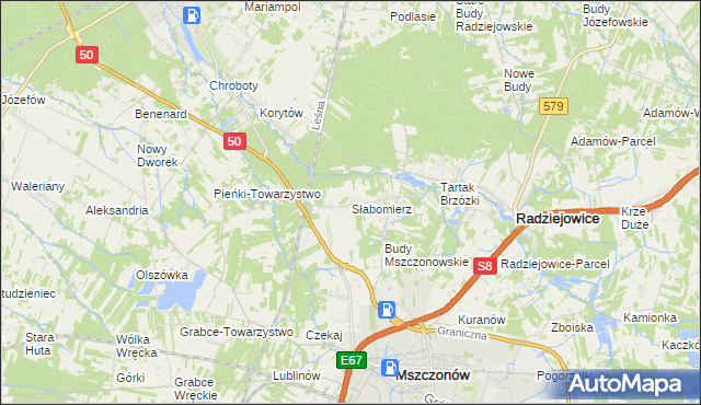 mapa Słabomierz gmina Radziejowice, Słabomierz gmina Radziejowice na mapie Targeo