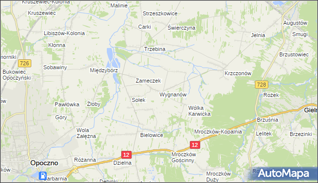 mapa Wygnanów gmina Opoczno, Wygnanów gmina Opoczno na mapie Targeo