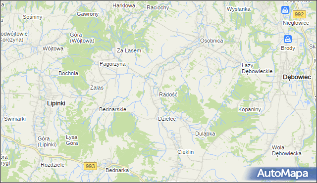 mapa Radość gmina Dębowiec, Radość gmina Dębowiec na mapie Targeo