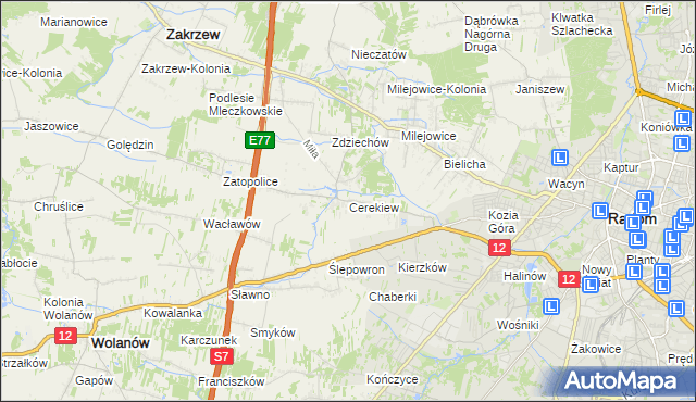 mapa Cerekiew gmina Zakrzew, Cerekiew gmina Zakrzew na mapie Targeo