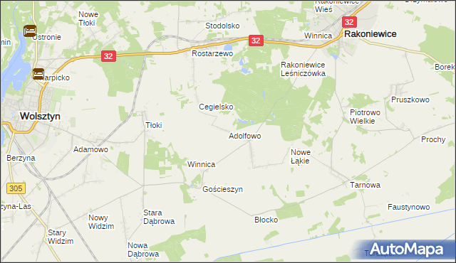 mapa Adolfowo gmina Rakoniewice, Adolfowo gmina Rakoniewice na mapie Targeo