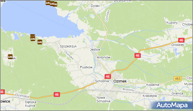 mapa Antoniów gmina Ozimek, Antoniów gmina Ozimek na mapie Targeo