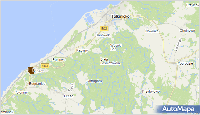 mapa Biała Leśniczówka gmina Tolkmicko, Biała Leśniczówka gmina Tolkmicko na mapie Targeo