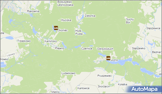 mapa Czernice gmina Murowana Goślina, Czernice gmina Murowana Goślina na mapie Targeo