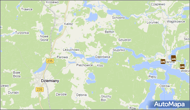 mapa Dąbrówka gmina Dziemiany, Dąbrówka gmina Dziemiany na mapie Targeo