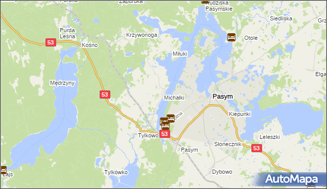 mapa Michałki gmina Pasym, Michałki gmina Pasym na mapie Targeo