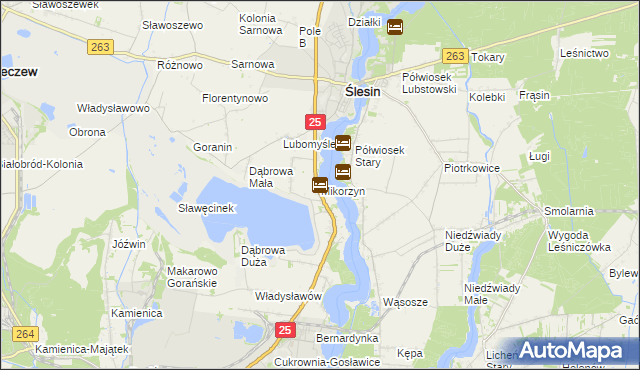 mapa Mikorzyn gmina Ślesin, Mikorzyn gmina Ślesin na mapie Targeo